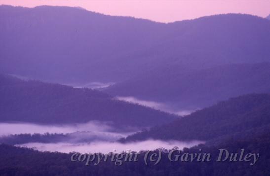 Early morning, Looking towards Binna Burra, Lower Beechmont II.jpg